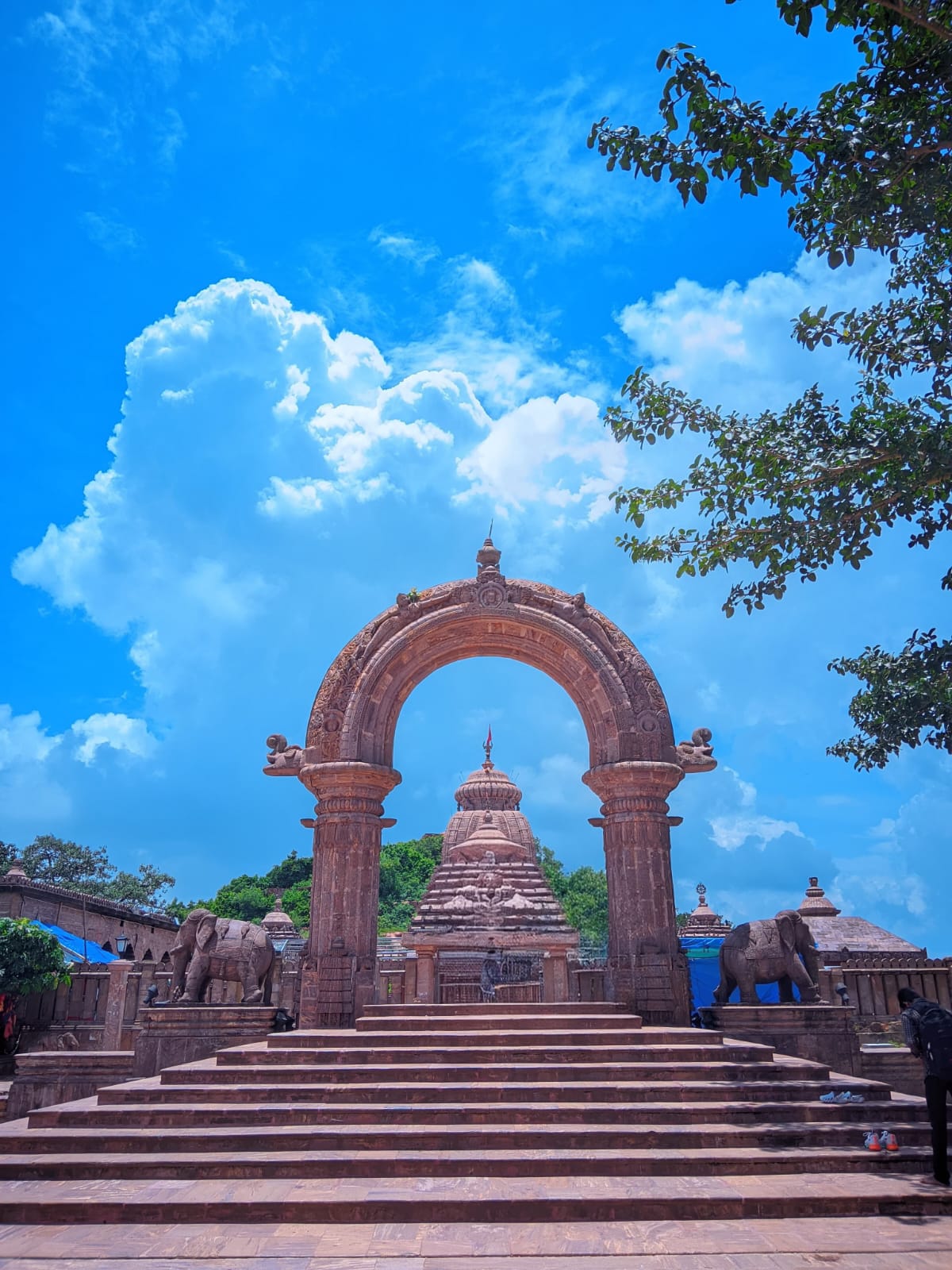 WhatsApp Image 2026-01-19 at 11.52.16 AM